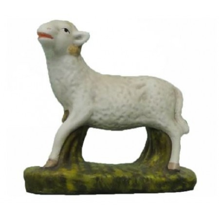 Carneiro de Pé nº2 6cm Carneiro de Pé nº2 6cm