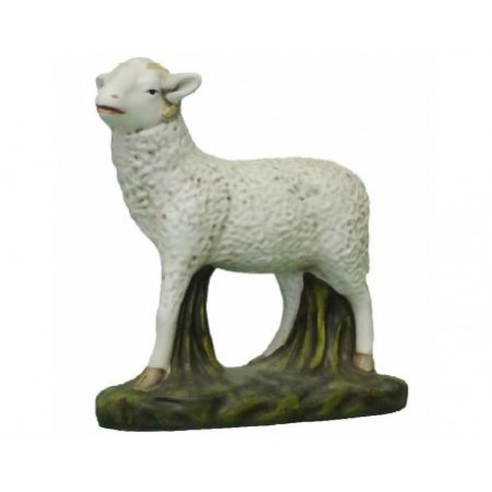 Carneiro de Pé nº2 8cm Carneiro de Pé nº2 8cm