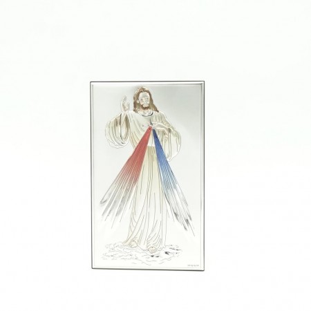 Placa Bilaminada C/Jesus Misericordioso Cor12*20cm