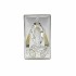 Placa Bilaminada C/Virgem Milagrosa 9*15cm