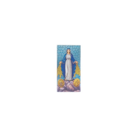 Placa C/ N.ª Sr.ª Milagrosa Color. 6x12cm