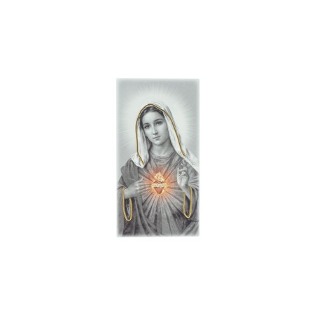 Quadro/ Placa C/ S. C. de Maria P/B 9x17.5cm