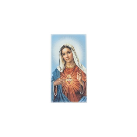 Quadro/ Placa C/ S. C. de Maria Color. 9x17.5cm Quadro/ Placa C/ S. C. de Maria Color. 9x17.5cm