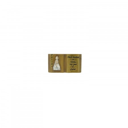 Placa N. Sra de Fátima Mini nº 0 Dourada Placa N. Sra de Fátima Mini nº 0 Dourada