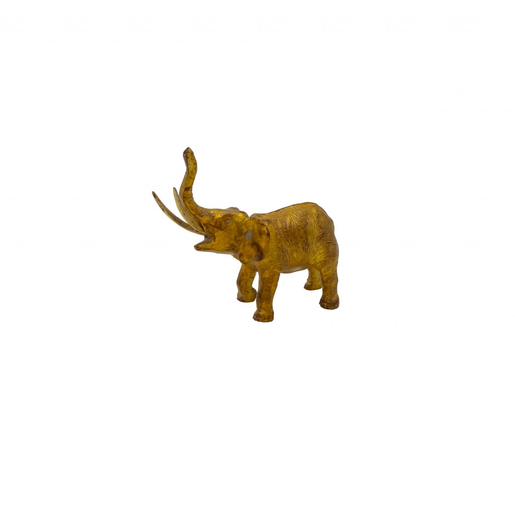 Elefante Ouro Velho